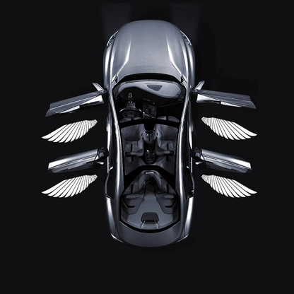 Angel Wing Car Door Lights