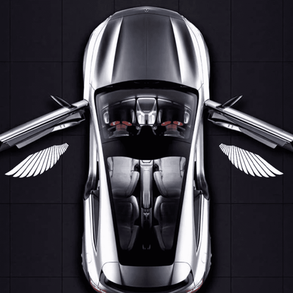 Angel Wing Car Door Lights