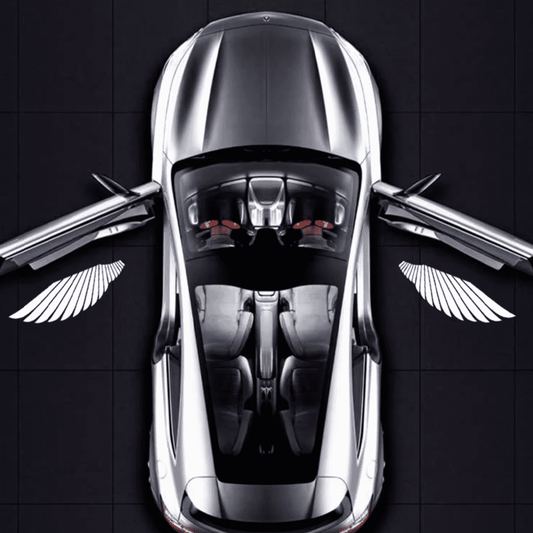Angel Wing Car Door Lights